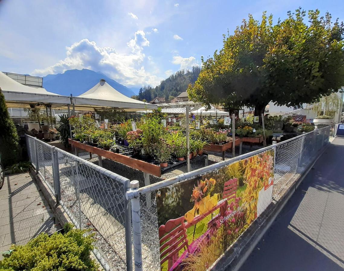 Jobling'S Holiday Apartment Interlaken Exteriér fotografie